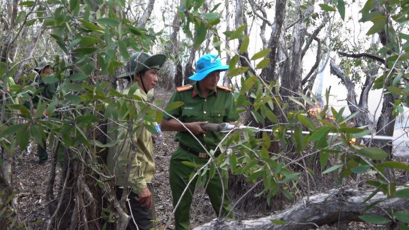 Khống chế kịp thời đám cháy xảy ra tại Vườn Quốc gia Tràm Chim -0