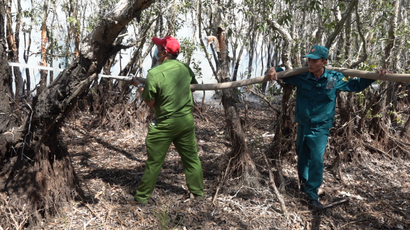 Khống chế kịp thời đám cháy xảy ra tại Vườn Quốc gia Tràm Chim -1