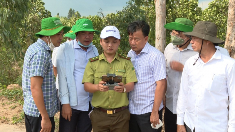 Khống chế kịp thời đám cháy xảy ra tại Vườn Quốc gia Tràm Chim -0