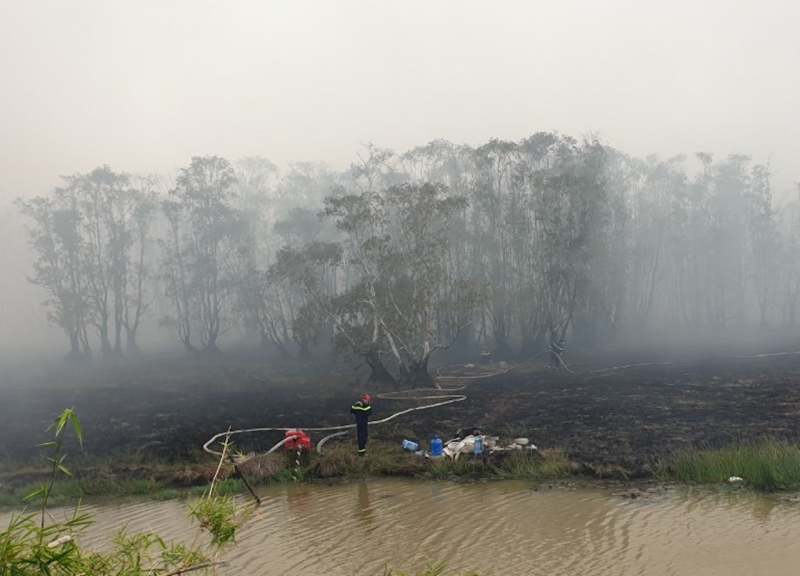Khống chế kịp thời đám cháy xảy ra tại Vườn Quốc gia Tràm Chim -0
