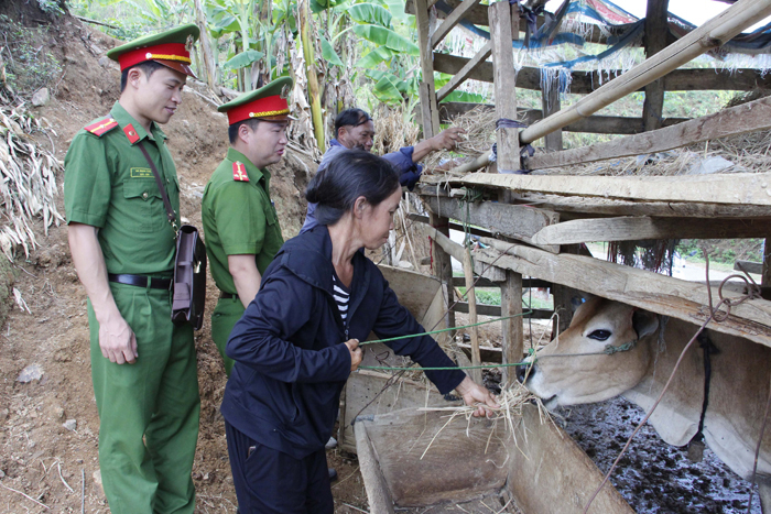 Kỳ cuối: Không đâu bằng quê hương -0