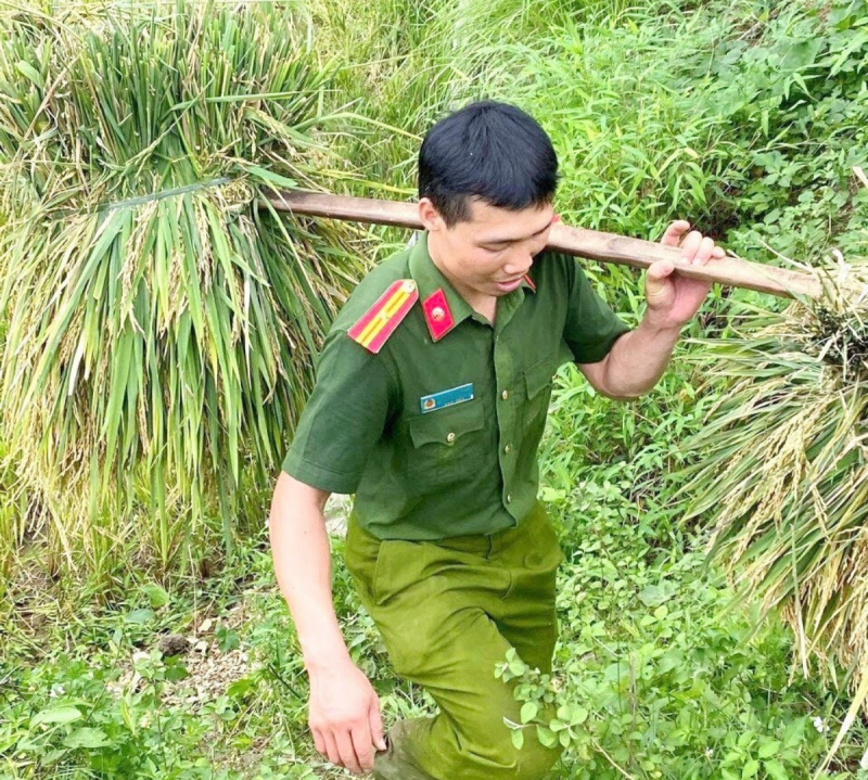 Công an xã giúp người dân thu hoạch lúa đối phó với mưa lũ -5