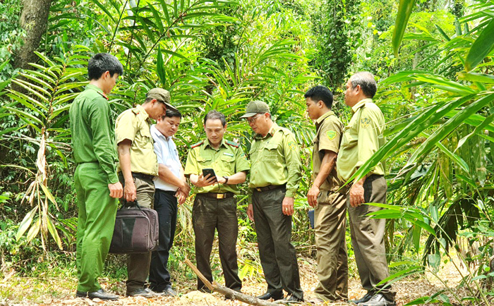 Tăng cường giải pháp bảo vệ “lá phổi xanh” ở Phú Yên -0