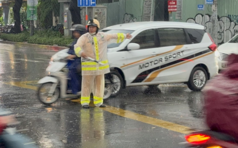     Mưa đá, sự cố cây ngã trong cơn mưa lớn kèm dông lốc ở TP Hồ Chí Minh -0