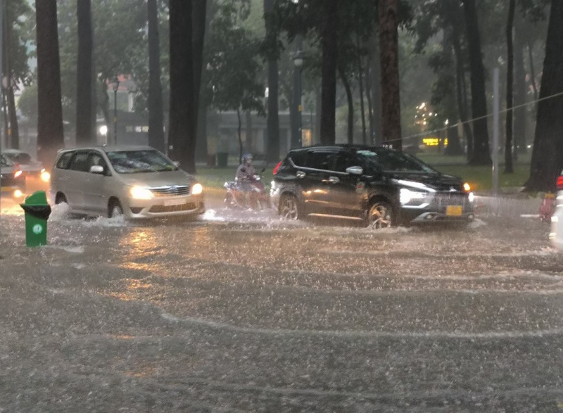     Mưa đá, sự cố cây ngã trong cơn mưa lớn kèm dông lốc ở TP Hồ Chí Minh -1