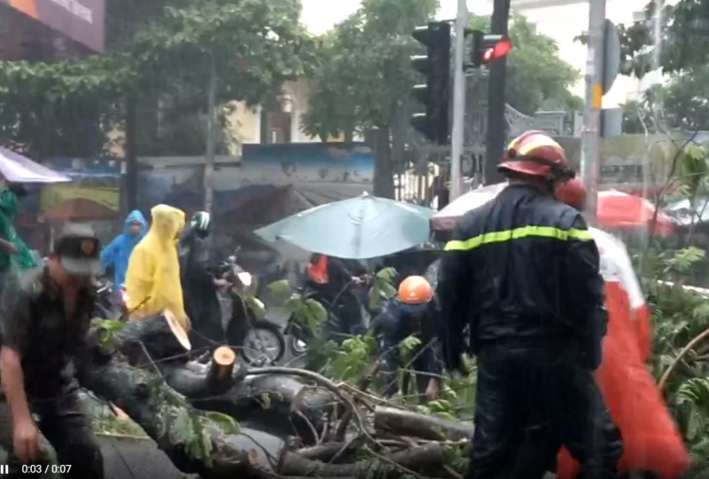    Mưa đá, sự cố cây ngã trong cơn mưa lớn kèm dông lốc ở TP Hồ Chí Minh -0