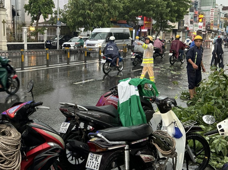     Mưa đá, sự cố cây ngã trong cơn mưa lớn kèm dông lốc ở TP Hồ Chí Minh -2