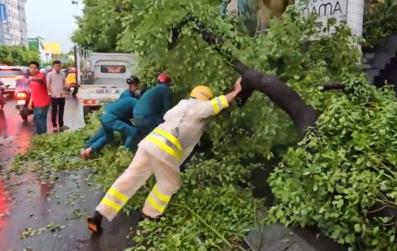     Mưa đá, sự cố cây ngã trong cơn mưa lớn kèm dông lốc ở TP Hồ Chí Minh -3