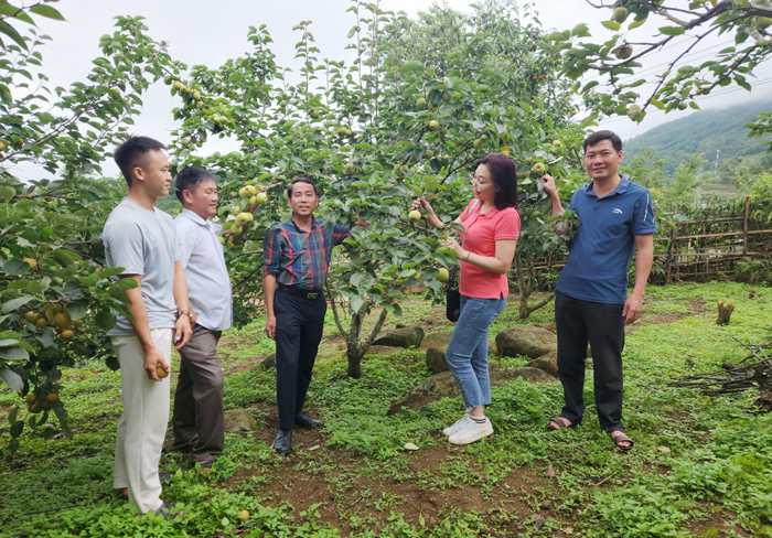 Nỗ lực đảm bảo bình yên cho Ngày hội hái Lê lớn nhất Lai Châu -0