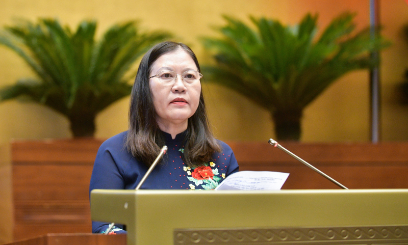 Thông qua Luật Tổ chức Toà án nhân dân (sửa đổi), cho phép ghi âm toàn bộ diễn biến phiên toà -0