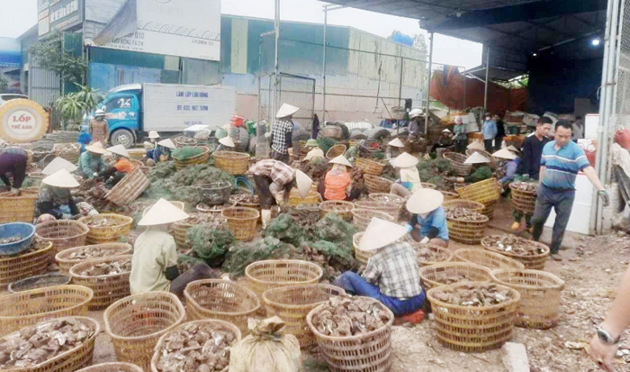 Bóc gỡ các ổ nhóm tội phạm hoạt động 