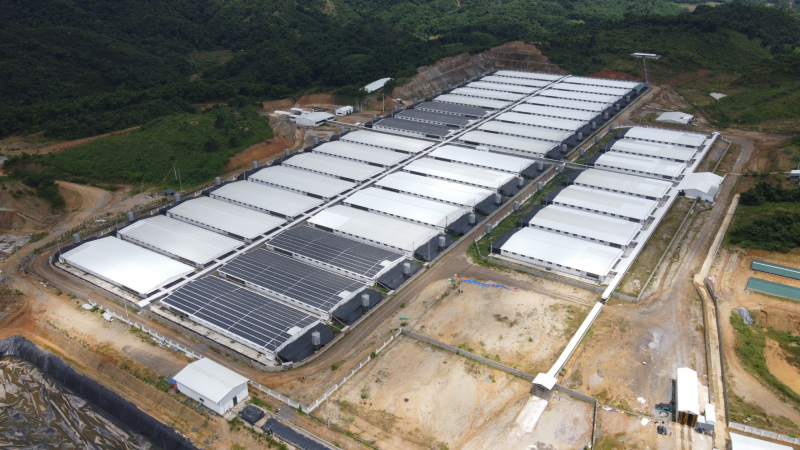 Yêu cầu đình chỉ hoạt động trại chăn nuôi lợn gây ô nhiễm môi trường -0