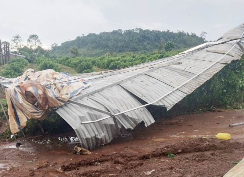 Công an huyện Đắk Mil phối hợp hỗ trợ nhân dân khắc phục hậu quả sau giông lốc -0