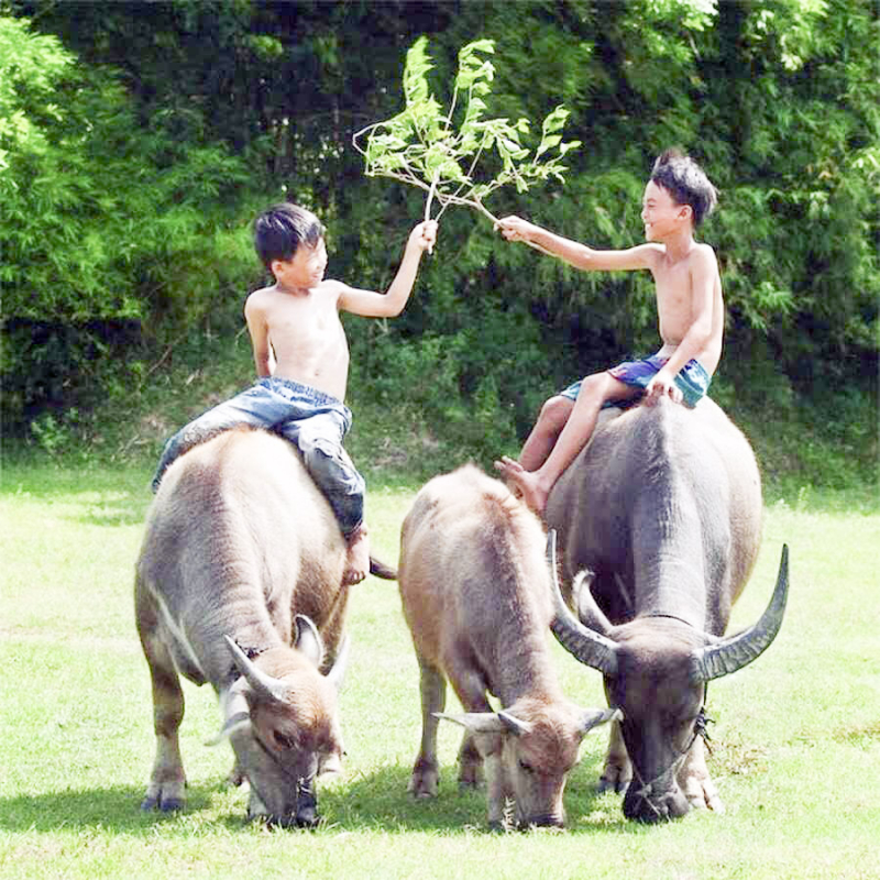 Kí ức tháng Bảy -0