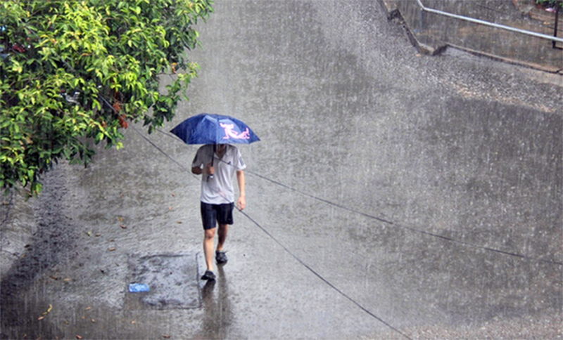 Vùng núi Bắc Bộ, Tây Nguyên và Nam Bộ mưa lớn -0