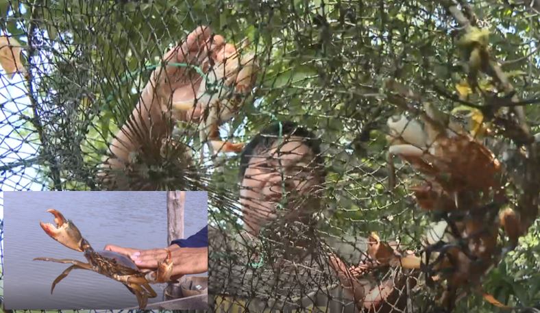 Bến Tre hiện thực hóa khát vọng đột phá và tín hiệu vui bước đầu -0