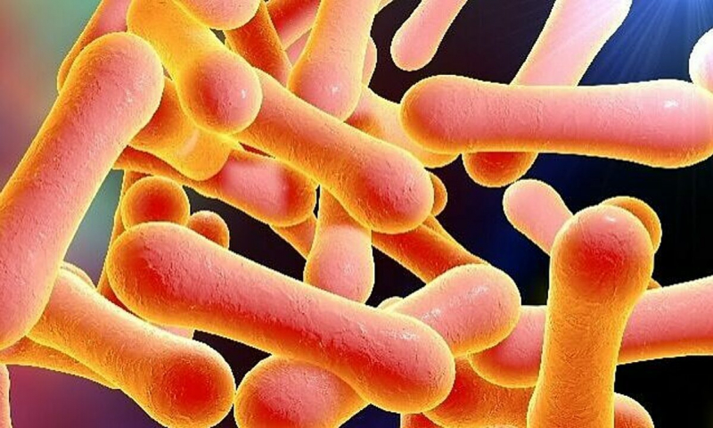 Bệnh bạch hầu năm 2024 chưa phải là vấn đề phức tạp -0