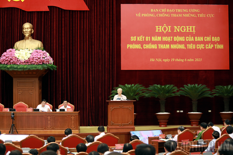 Hơn một thập kỷ