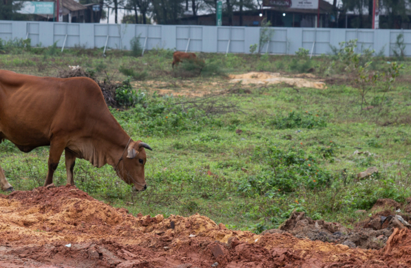 Quảng Bình thu hồi 13 dự án đầu tư có số vốn hàng trăm tỷ đồng -0