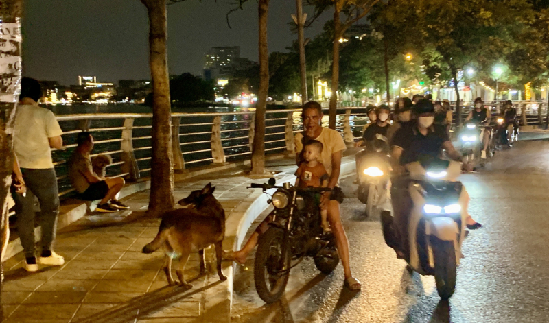 Hà Nội: Xử lý 3 ổ dịch chó dại khiến 10 người bị cắn  -0