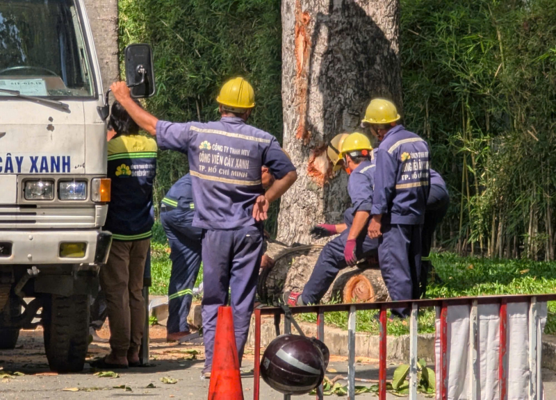 Người dân bàng hoàng khi chứng kiến cảnh cây tét nhánh khiến 5 người thương vong -2