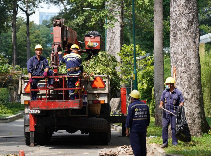 Người dân bàng hoàng khi chứng kiến cảnh cây tét nhánh khiến 5 người thương vong -3