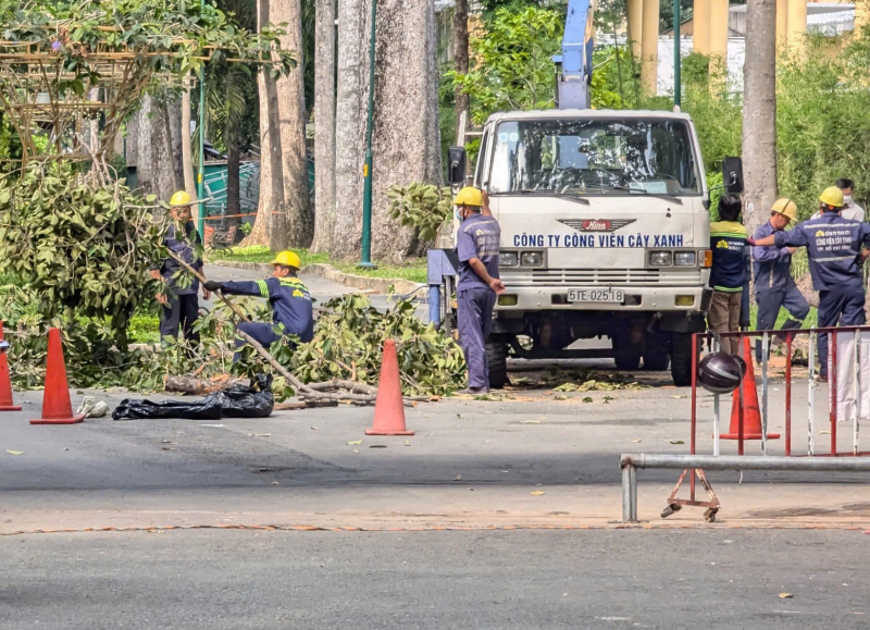 Người dân bàng hoàng khi chứng kiến cảnh cây tét nhánh khiến 5 người thương vong -0