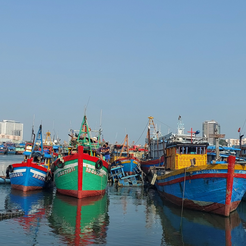 Miền Trung tăng cường phối hợp quản lý tàu cá, chống khai thác IUU -0