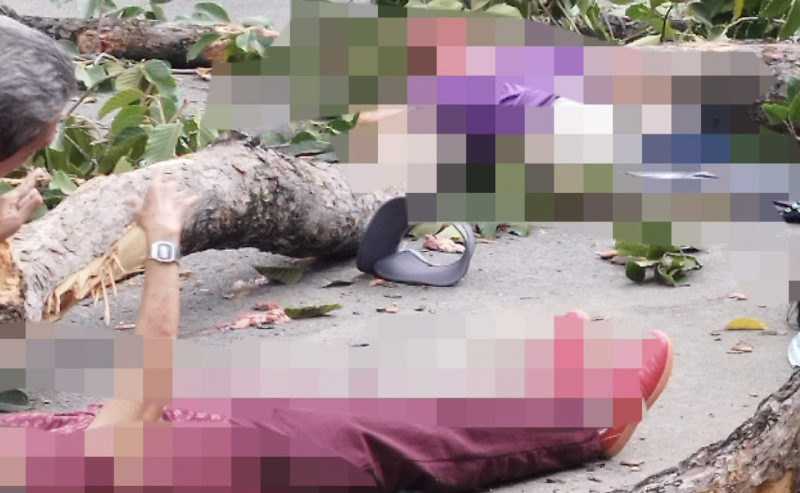 Người dân bàng hoàng khi chứng kiến cảnh cây tét nhánh khiến 5 người thương vong -0