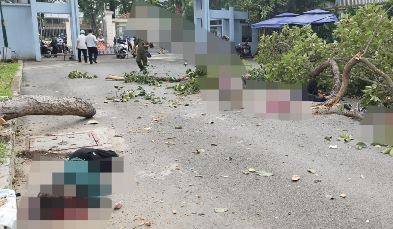 Người dân bàng hoàng khi chứng kiến cảnh cây tét nhánh khiến 5 người thương vong -2