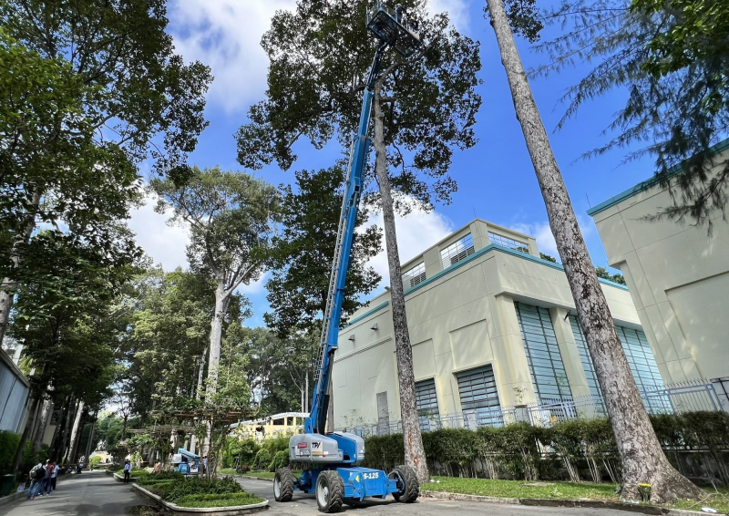 “Soi” cây xanh khiếm khuyết bằng flycam để tránh sự cố đáng tiếc -0