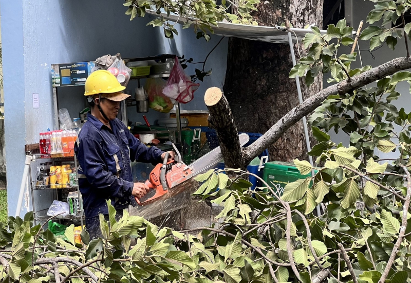 “Soi” cây xanh khiếm khuyết bằng flycam để tránh sự cố đáng tiếc -0