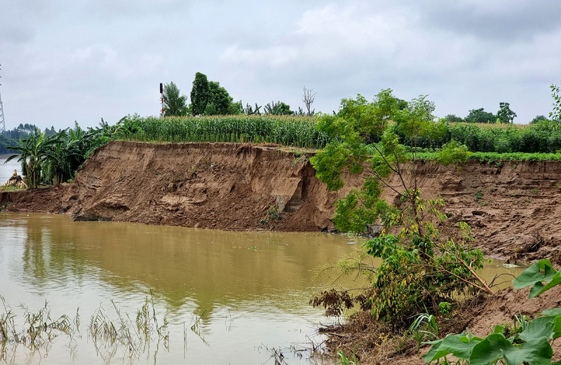 Phú Thọ: Xuất hiện nhiều điểm sạt lở bờ sông sát nhà dân -0