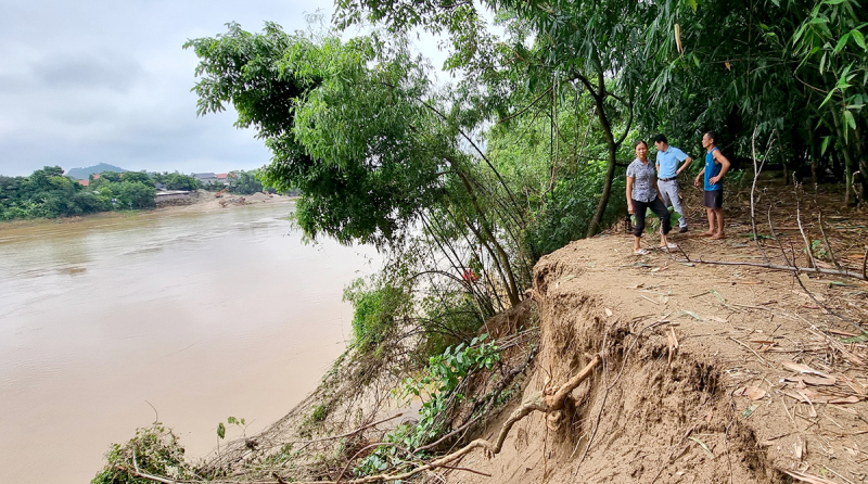 Phú Thọ: Xuất hiện nhiều điểm sạt lở bờ sông sát nhà dân -0