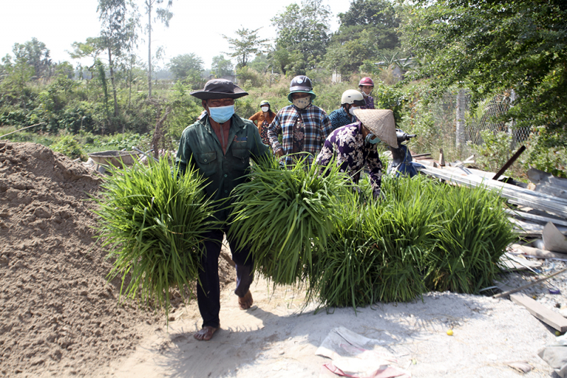 Chợ cỏ Ô Lâm -0