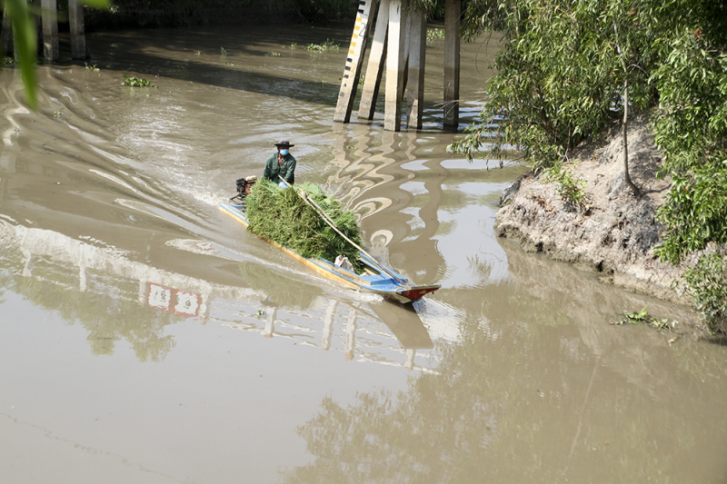 Chợ cỏ Ô Lâm -0