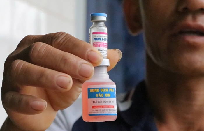 Yêu cầu làm rõ quy trình đấu thầu loại vaccine khiến bò chết hàng loạt -0