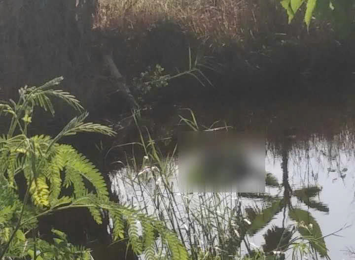 Phát hiện thi thể đang trong tình trạng phân hủy -0