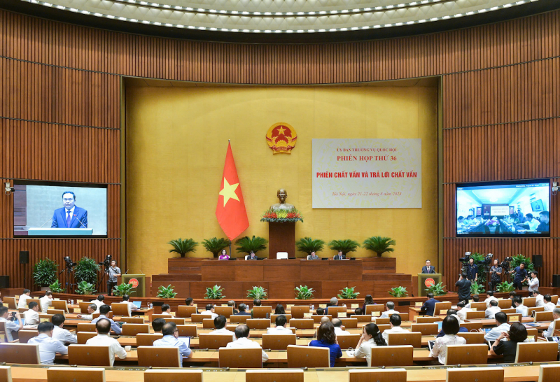 Phiên chất vấn là hoạt động 