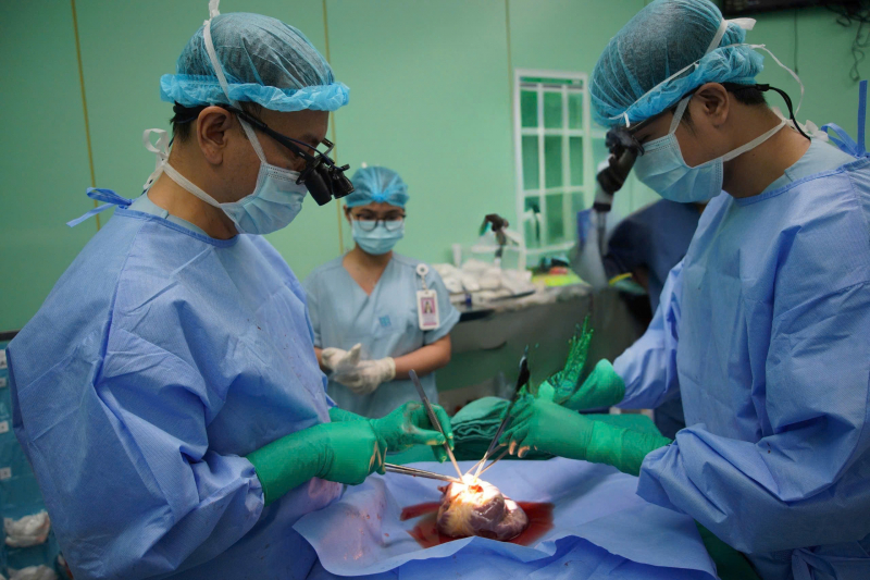 “Thật sự kỳ diệu, em tôi đã được cứu sống”! -0