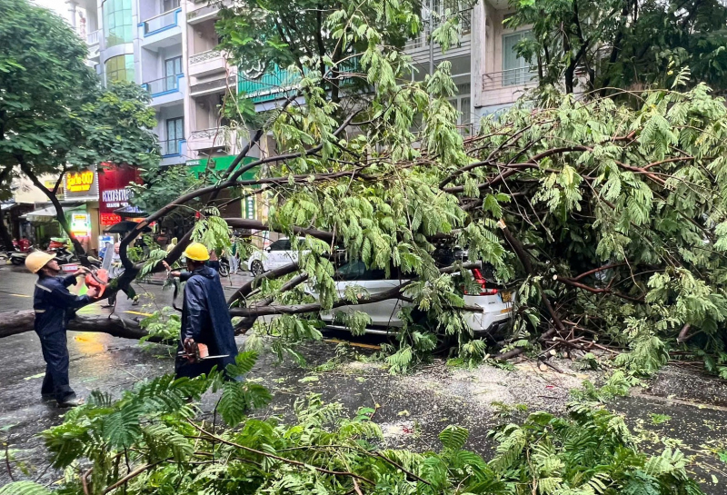 Hàng loạt sự cố trong cơn mưa to gió lớn, 1 phụ nữ bị nhánh cây đè nguy kịch -2