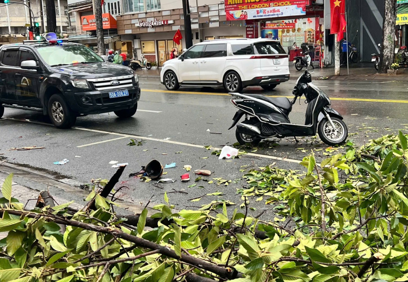 Người phụ nữ bị cành cây rơi trúng người trong mưa dông đã không qua khỏi -0