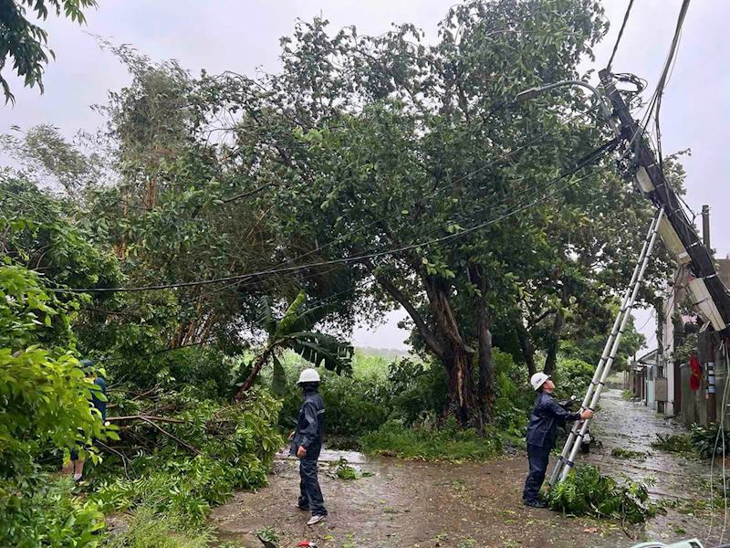 Ứng phó, khắc phục thiệt hại do bão số 3 để sớm cung cấp điện trở lại -0