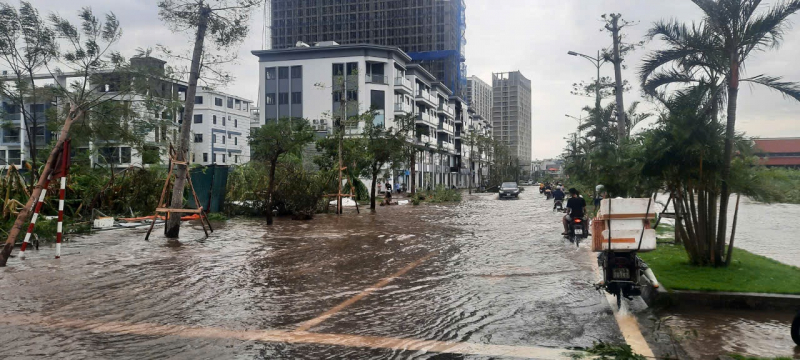 Hải Phòng hoang tàn sau bão -0