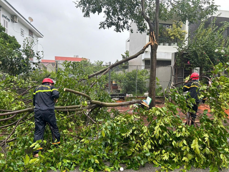 Quảng Ninh khẩn trương khắc phục hậu quả của bão Yagi -0