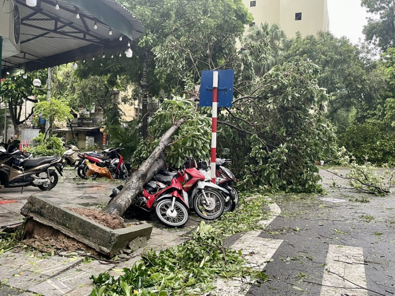 Hà Nội sau bão, cây cổ thụ đổ chắn ngang nhiều tuyến phố -0