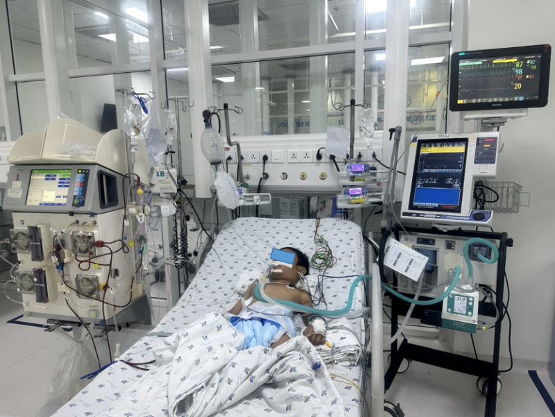 Cảnh báo liên tục nhiều trường hợp sốc phản vệ do ong vò vẽ đốt -0