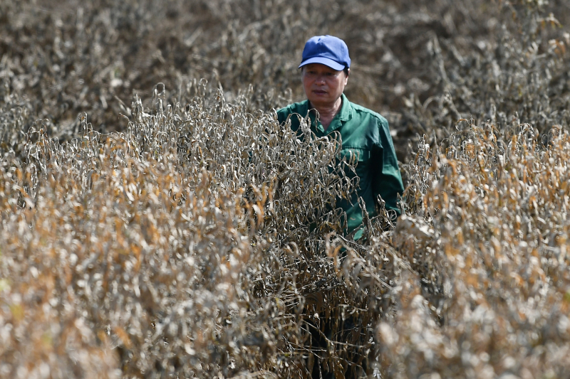 Hà Nội: Nông nghiệp thiệt hại trên 2.286 tỷ đồng, hỗ trợ kịp thời người dân khắc phục -0