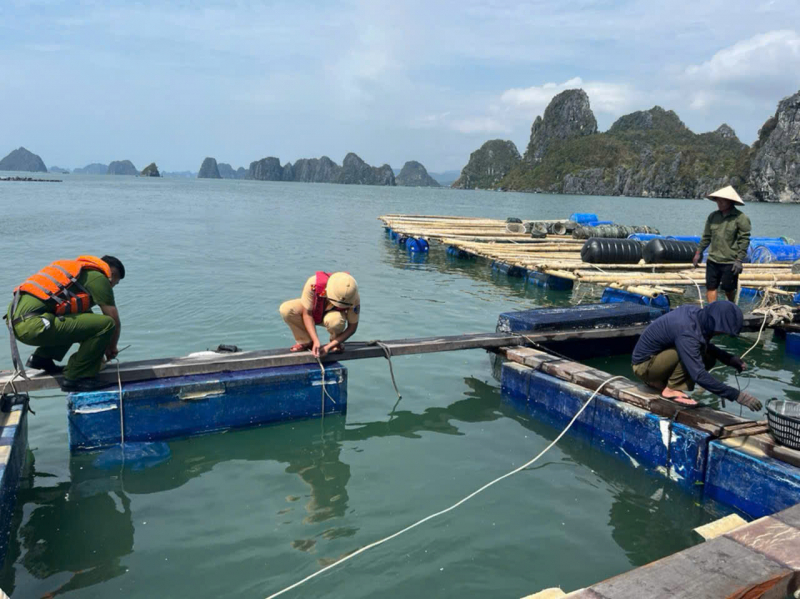 Bài 1: Nghìn tỷ trôi sông, đổ biển -0