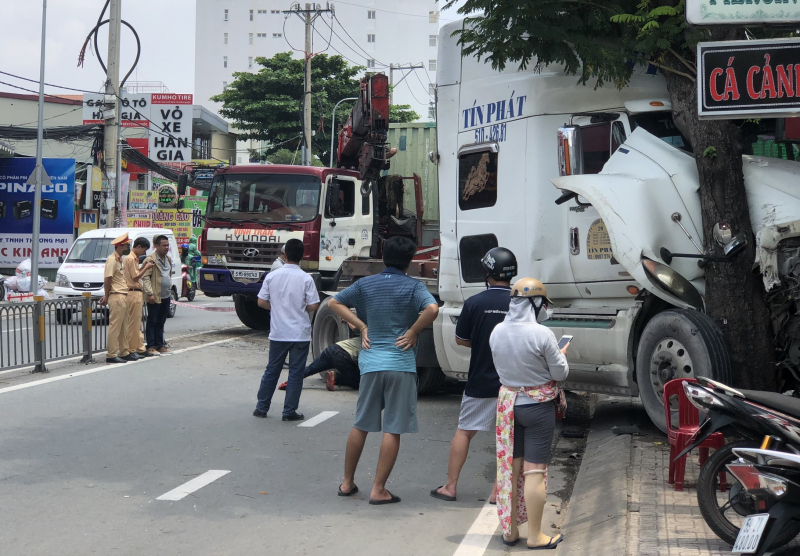 Cây xanh ngăn xe đầu kéo lao vào tiệm bán cá cảnh -0